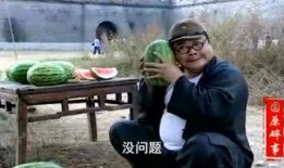 吃瓜视角搞笑视频大全免费观看,笑料横生！免费观看吃瓜视角搞笑视频大全