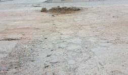 富顺最新同城爆料,揭秘本地新鲜事，带你领略家乡风采